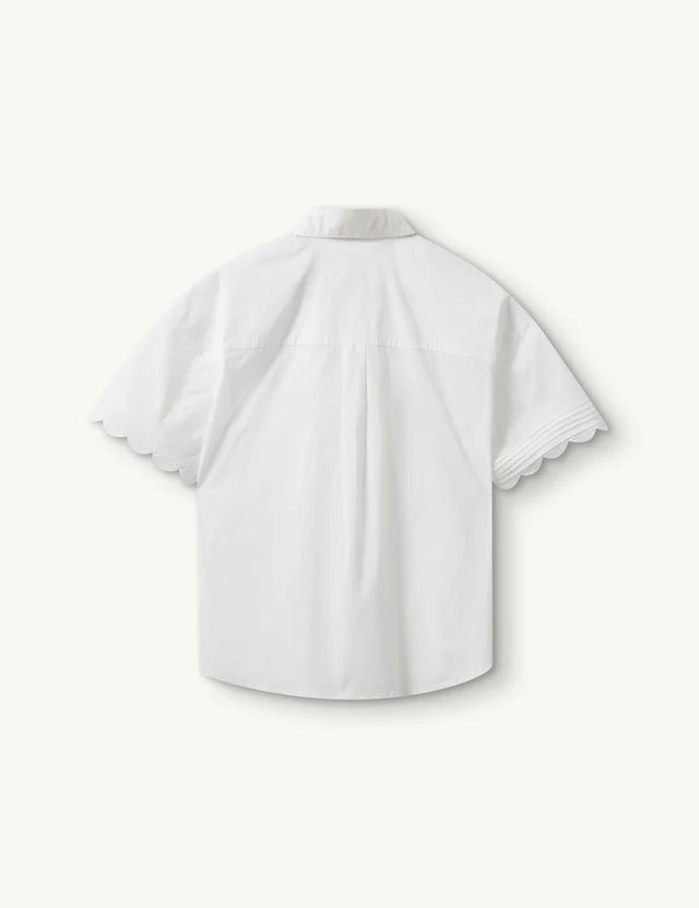 The Garment